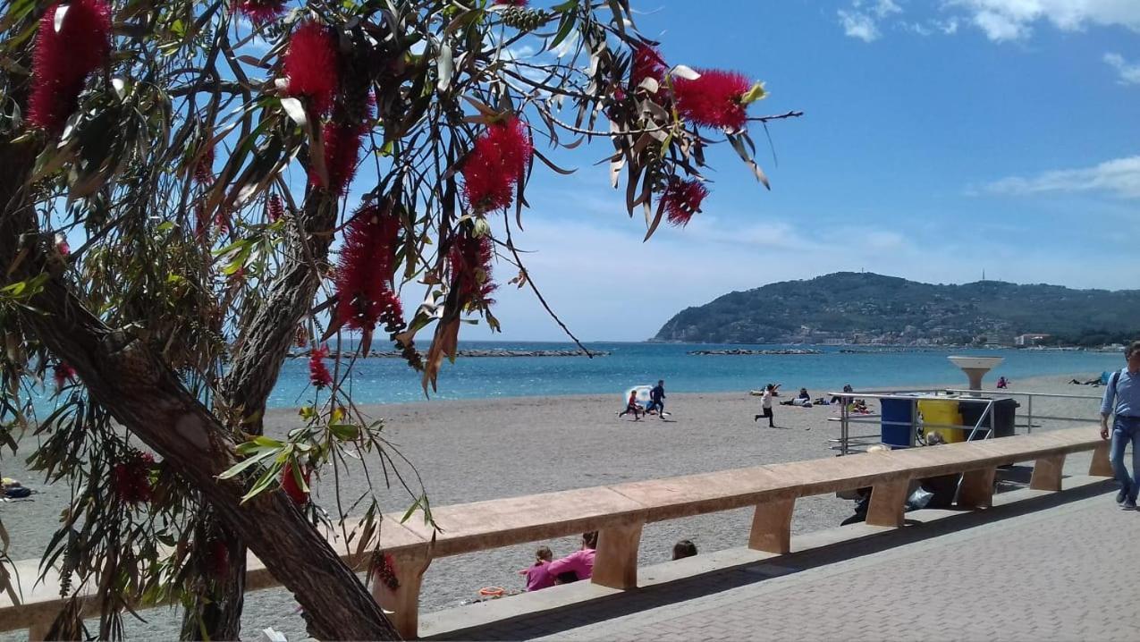 Il Girasole ...At Andorus' House Bed and Breakfast Erli Buitenkant foto
